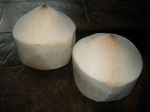 jeune noix de coco